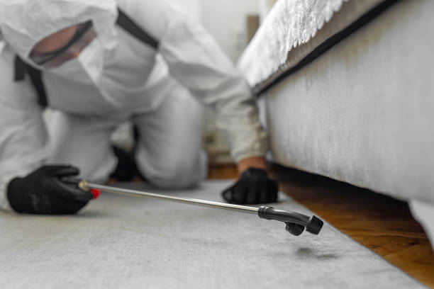 Professional Bed Bug Control technician working in Blooming Prairie, MN